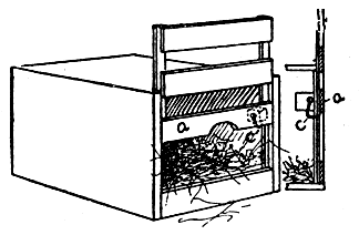 Image A: A simple diagram of a trap nest.